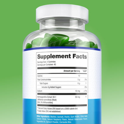 Sugar-Free Ashwagandha Gummies for Stress, Sleep & Mood Support - High-Potency 30:1 Ashwagandha Supplement Extract - Vegan Adaptogen Supplement for Women & Men, Natural Flavor, Plant-Based, 90 Gummies