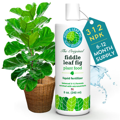 Fiddle Leaf Fig Tree Plant Food for Ficus Lyrata (and Ficus Audrey) - Enriched with Calcium, Urea-Free, and Featuring an NPK Ratio of 3-1-2 to Promote Robust Roots, Stems & Leaves (8 Ounces)