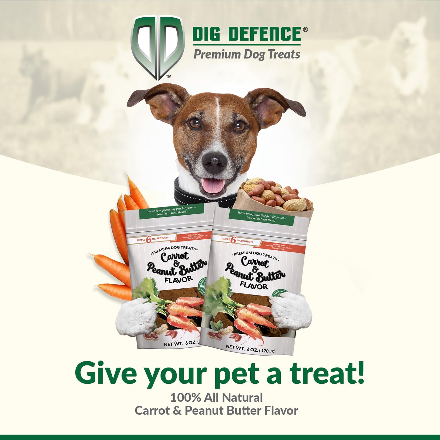 Dig Defence Premium Dog Treats - Carrot and Peanut Butter, Natural Ingredients, Baked Gourmet Snacks for Small & Big Dogs, Healthy Training Treat, 2 Pack