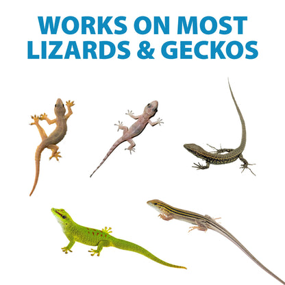 LizzAway Lizard Shoo Spray - Plant-Based Lizard Repellent for Outdoors & Home - Gecko, Skink, & Reptile Deterrent - Gecko Repellent Spray to Keep Lizards Off Porch, Patio, Garden & Driveway