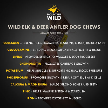 MOUNTAIN WILD Split Elk Antler Dog Chews for Aggressive Chewers – Naturally-Shed, Long-Lasting, Odorless, Mineral-Rich – No Fillers, No Preservatives – Supports Dental Health – Large Breeds (Jumbo)