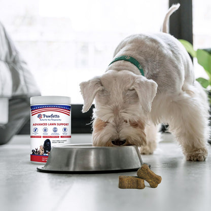 Pawfetto Advanced Lawn Support Supplement for Dogs, with Cranberry, Amino Acids, and Brewer’s Yeast, Easily Digestible, Chicken Liver Flavor, Perfect for Your Pampered Pet (70 Dog Chews)