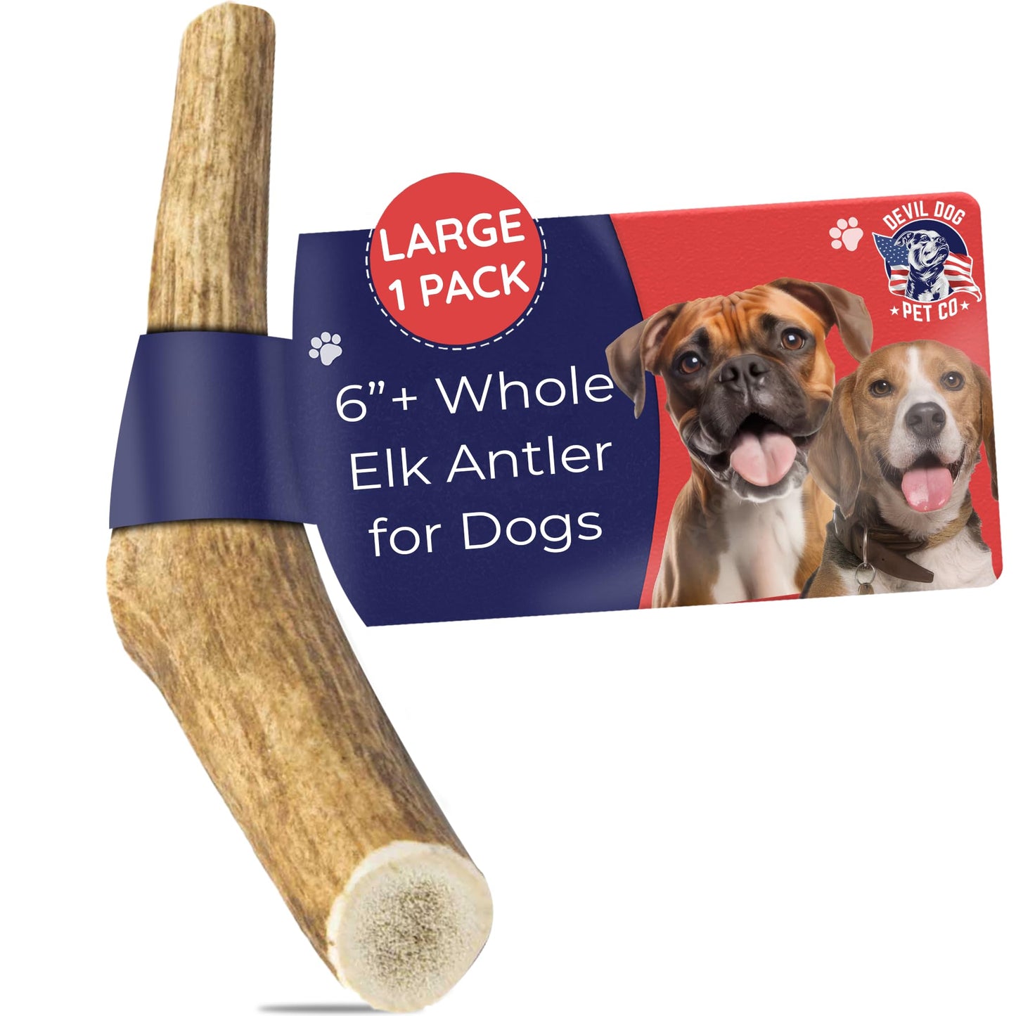 Devil Dog Pet Co. Elk Antlers for Dogs, Large 6"+, 1 Pack, Grade A Long Lasting Chew for Aggressive Chewers, Premium USA Naturally Shed Antler – Healthy, No Odor, Durable Dog Chew