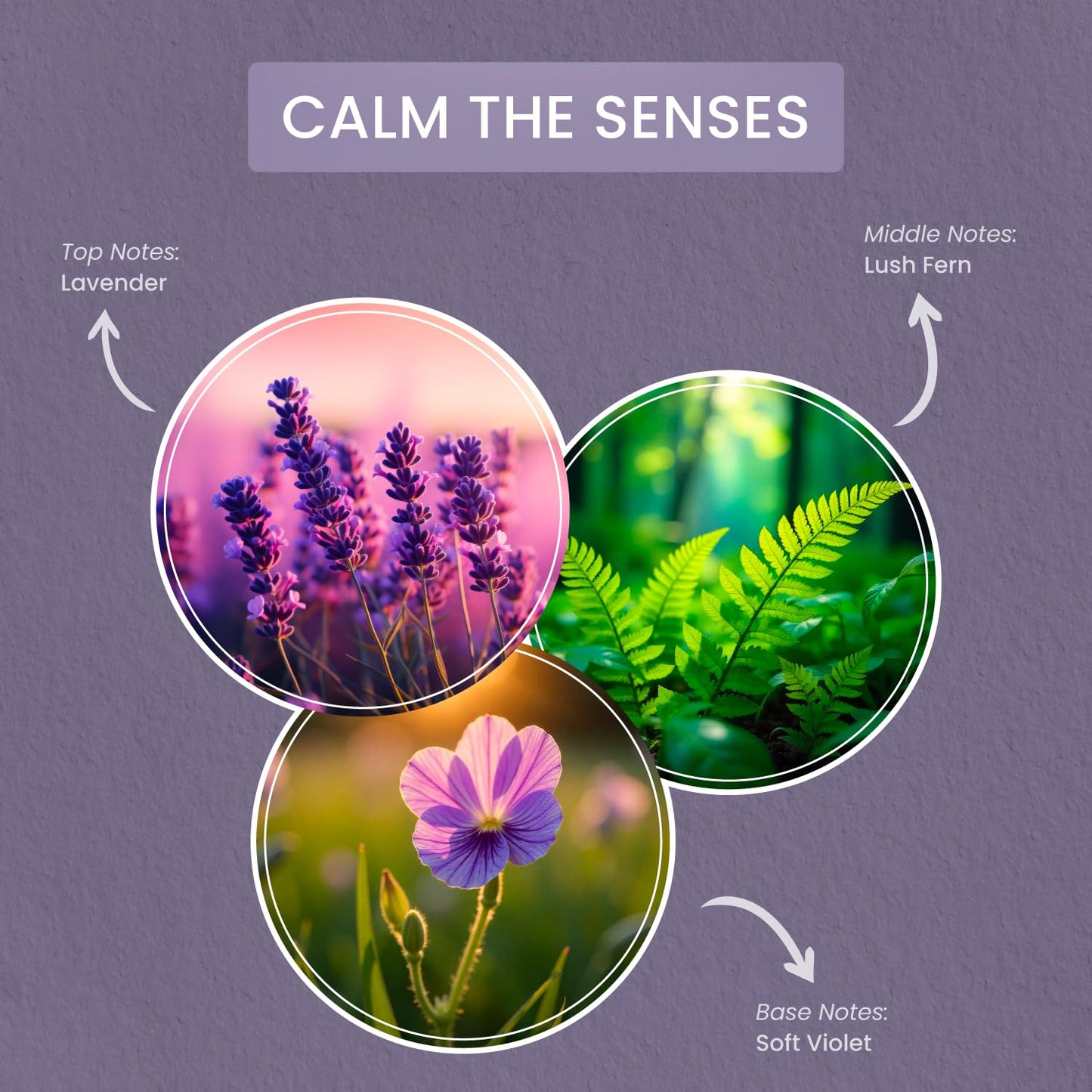 Carolina Calm The Senses Scented Wellness Wax Melts, Wax Melt Warmer Cubes, Long Lasting Scented Wax Warmer Cubes, 4 Pack, 6 Cubes Each - Made in The USA