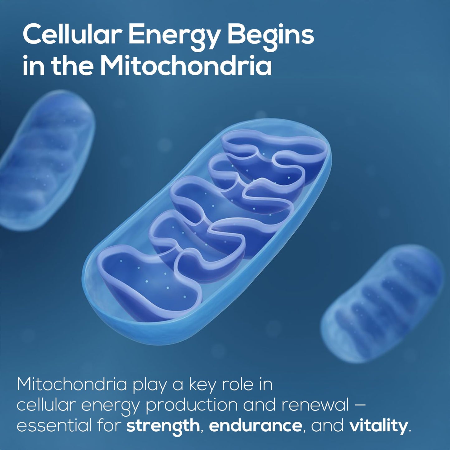 HARMONIFY Urolithin A NAD+ Resveratrol CoQ10 PQQ Blend Supplement, Liposomal NAD, Extra Strength 1500 mg, 60 Softgels