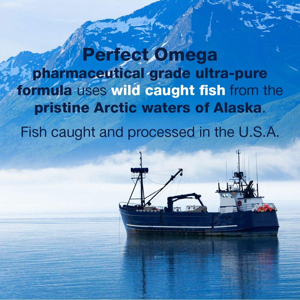 Therabotanics Perfect Omega Fish Oil Supplement EPA & DHA – High Absorption, Concentrated Omega 3 for Heart, Brain, Eye, & Metabolic Health - Alaskan Fish Oil Softgels - 30 Count (Pack of 1)