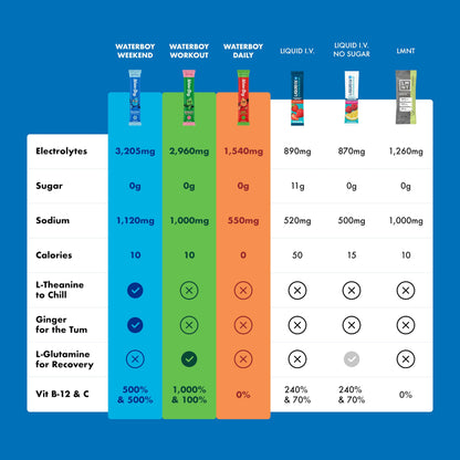 Waterboy Hydration Recovery Variety | 4-9x Electrolyte Powder Packets | Ginger + L-Theanine + L-Glutamine + Vitamins | No Sugar, All Natural, Gluten Free | 12 Drink Stick Mixes (Variety Pack)