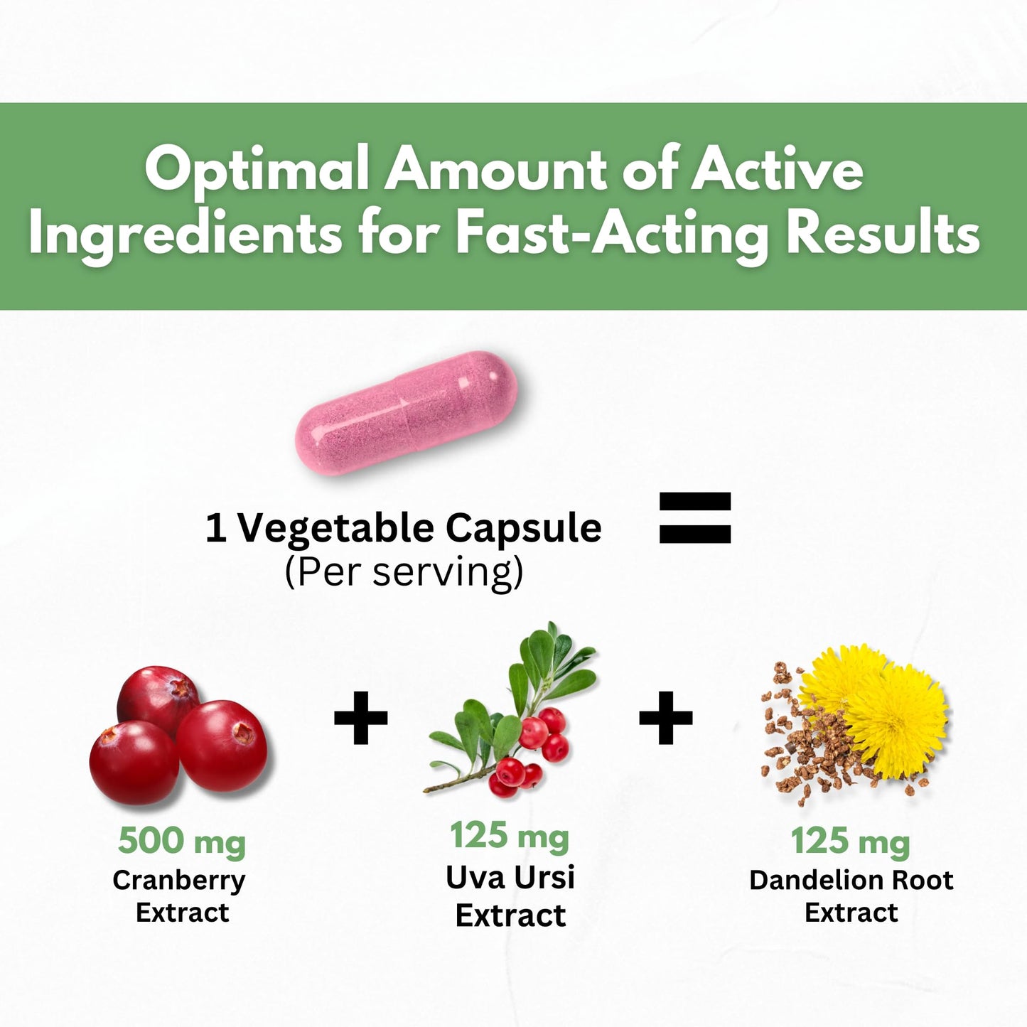 Cranberry Extract Pills - Super Strength 50:1 Whole Fruit Concentrate Equals to 25,000mg of Fresh Cranberries Plus Dandelion & Uva Ursi - Natural UTI Support - Kidney Cleanse & Urinary Tract Health