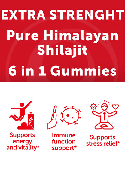 Lunakai USA Made Pure Shilajit Gummies 1200mg with Ashwagandha & Chaga - Himalayan Shilajit for Men & Women, Energy & Vitality Support, 60ct