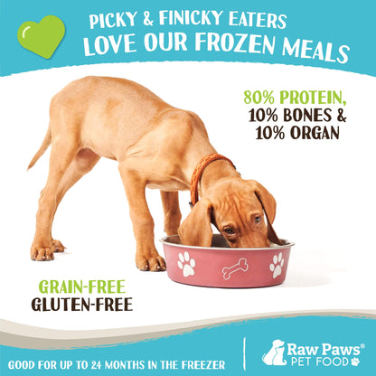 Raw Paws Signature Blend Pet Food for Dogs & Cats - Turkey Recipe, 1-lb Rolls (10 Pack) - Made in USA Frozen Turkey Roll Dog Food - Refrigerated Log Dog Food - Raw Frozen Food for Dogs