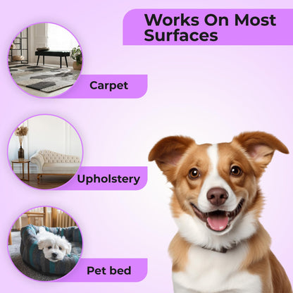 Aromasong Carpet Deodorizer Powder- 100% Natural Lavender Carpet Freshener - Safe For Pets - Upholstery Deodorizer - Effective Pet Odor Eliminator For Strong Odor & Pet Urine - 3 Lb.