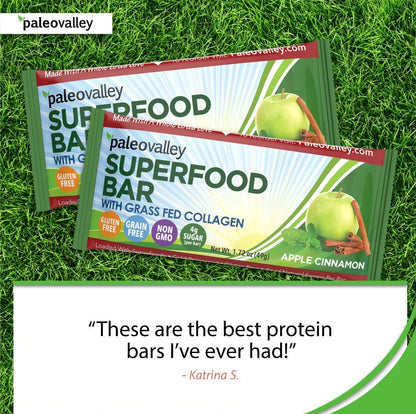 Paleovalley: Superfood Bars with Grass Fed Bone Broth Protein - Apple Cinnamon - 12 Bars - All Organic Ingredients with 10 Antioxidant-Rich Superfoods - No Gluten, Grains, Soy or Added Sugar