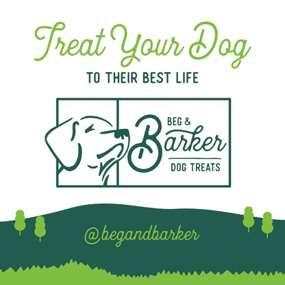 Beg & Barker Chicken Jerky for Dogs - Dog Training Treats - Natural Dog Treats Made in The USA - Grain Free, Diabetic-Friendly, High Protein, Sugar-Free (Chicken Dog Jerky)