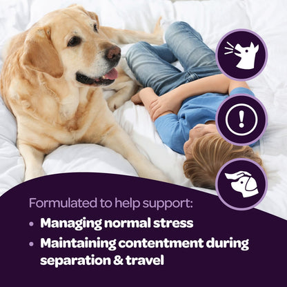 Calming Chews for Dogs | Herbal Dog Calming Chews for Anxiety from Normal and Occasional Stressors Including Separation Storms Grooming & Travel | NASC Certified & Made in The USA | 60 Count