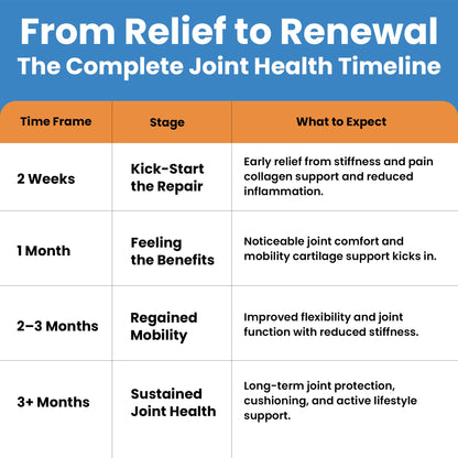 Glucosamine Chondroitin MSM with Turmeric & Boswellia 90 Capsules | 8-in-1 Joint Support Supplement for Flexibility & Mobility | Joint Supplement for Men & Women – Support Back, Knee, Hips & Joints