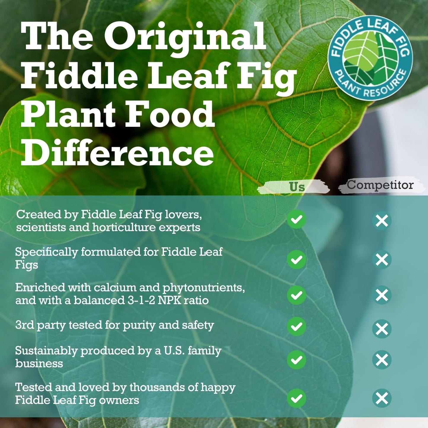 Fiddle Leaf Fig Tree Plant Food for Ficus Lyrata (and Ficus Audrey) - Enriched with Calcium, Urea-Free, and Featuring an NPK Ratio of 3-1-2 to Promote Robust Roots, Stems & Leaves (8 Ounces)
