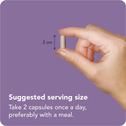 Vitamin Bounty Organic Elderberry Capsules – Sambucus Elderberry with Vitamin C and Zinc – Immune System Boosters for Adults – Antioxidant Formula for Immune Support– Non-GMO, 60 Capsules