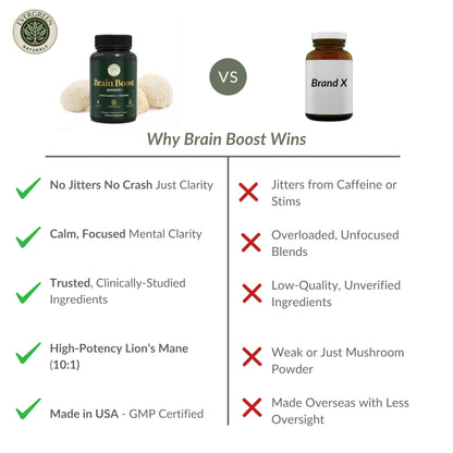 Lion’s Mane Mushroom Gummies 10:1 Extract & L-Theanine 200mg Nootropic Brain Gummies – 30 Day Supply – Memory & Focus Support – Calm Energy – Vegan, Caffeine Free