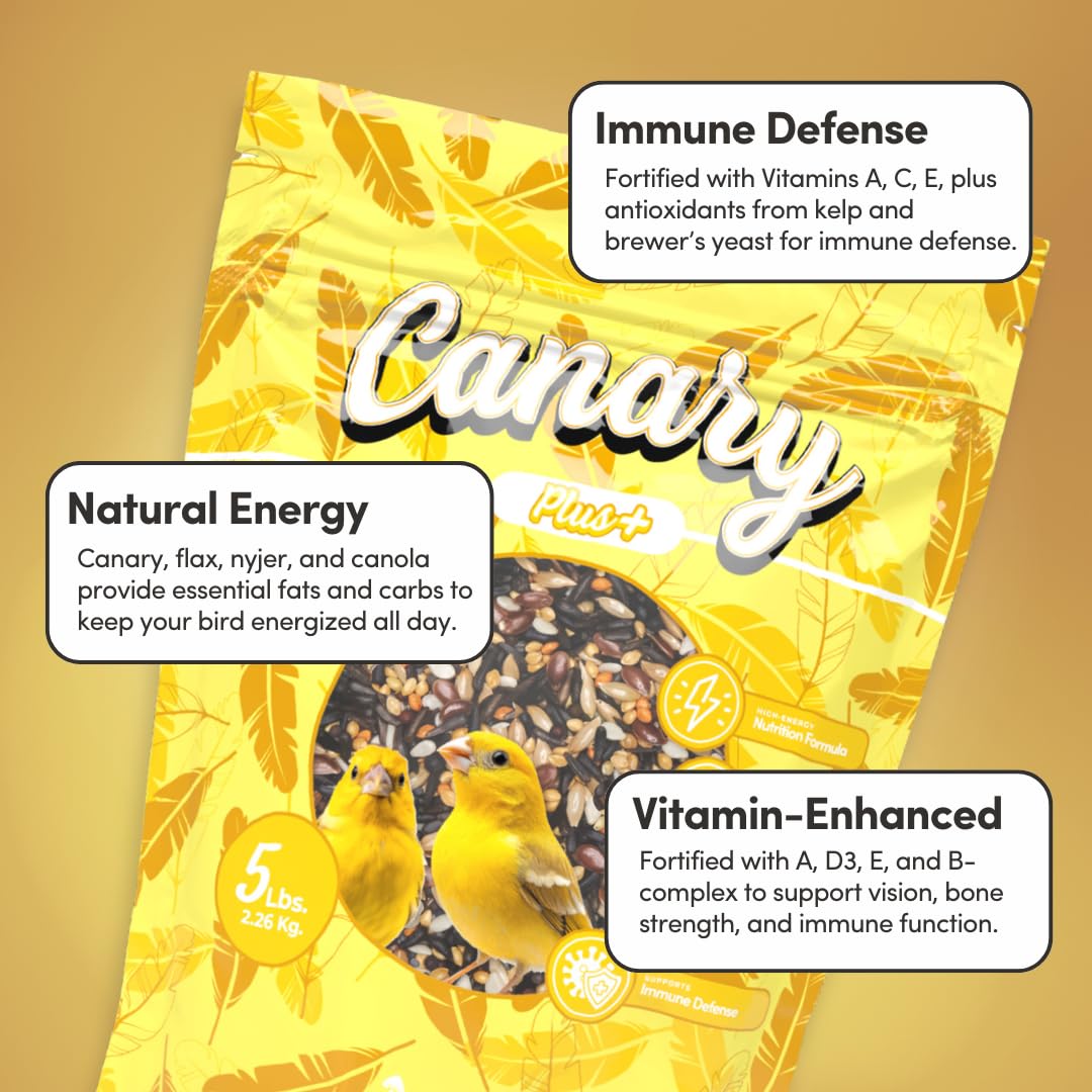 Mycelium Canary Plus Bird Seed (5 LB Bag) | High-Fat, Vitamin-Enriched Canary Food for Energy, Immune Defense & Feather Health | Organic Seed Blend for Small Pet Birds | Non-GMO & Made in USA