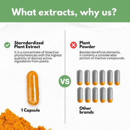 Boswellia Curcumin Ginger Extracts Supplement – Strong 95% Curcuminoids Natural Support Pills for Mobility & Flexibility – Extra Strength Boswelia with Turmeric Curcumin Organic Ginger Supplement