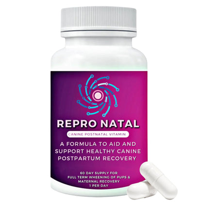 Canine Postnatal and Postpartum Vitamin Capsules for Dogs - 60-Day Supply- Aid in Full-Term Maternal Recovery, Improve Health After Birth -ReproNatal™ Dog Supplement