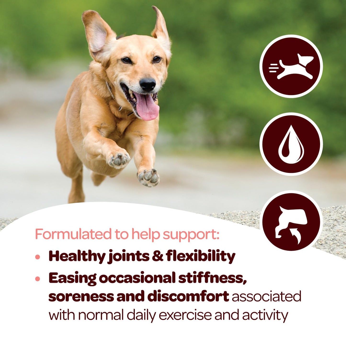 Hip and Joint Chews for Dogs | Dog Glucosamine Chews for Comfort & Mobility with Chondroitin MSM & Turmeric | Dog Joint Supplement for All Ages & Sizes | NASC Certified & Made in The USA | 60 Chews