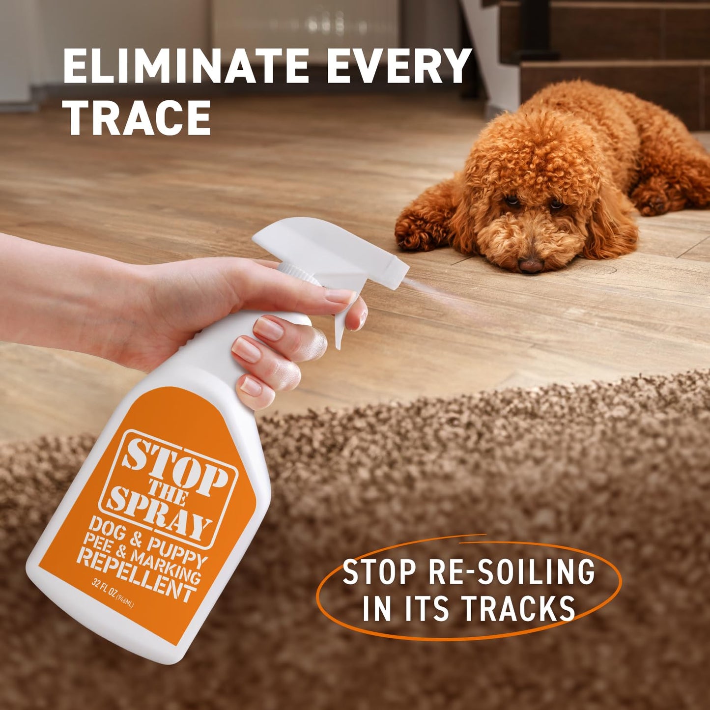 EBPP Stop the Spray - Dog & Puppy Pee Marking Repellent - Pet Training Spray - Puppy Potty Training Spray for Dogs - Dog Pee Stopper - Pee Deterrent for Dogs - No Marking Spray for Dogs Indoor 32oz