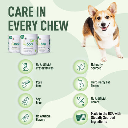 My Dog Sanctuary Hip & Joint Supplement for Dogs – 120 Soft Chews, Bacon Flavor | Glucosamine, Chondroitin & MSM for Mobility, Flexibility & Cartilage Support | for All Breeds