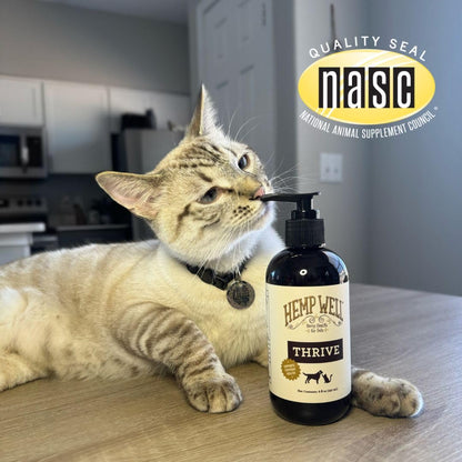 Hemp Well Thrive Oil for Dogs and Cats – Supports Hip, Joint, and Heart Health, Promotes Immune System, and Promotes Healthy Skin from Seasonal Allergies, Organically Sourced - 16 Ounces