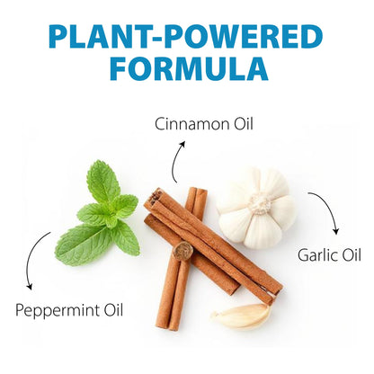 LizzAway Lizard Shoo Spray - Plant-Based Lizard Repellent for Outdoors & Home - Gecko, Skink, & Reptile Deterrent - Gecko Repellent Spray to Keep Lizards Off Porch, Patio, Garden & Driveway