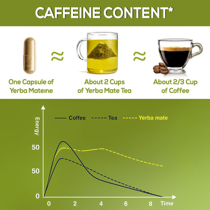 HARMONIFY Yerba Mate Leaf Extract – 375mg, 60 Capsules – Natural Energy Booster, Mental Clarity&Metabolism Support – Caffeine-Rich Herbal Supplement