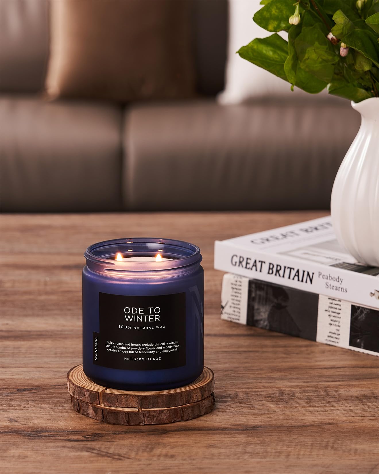 M&SENSE Ode to Winter 11.6oz Natural Soy Wax Non Toxic Candle, Up to 70 Hours Burn Time Winter Scents, 2 Cotton Wick Jar Candle Home Scented Gift