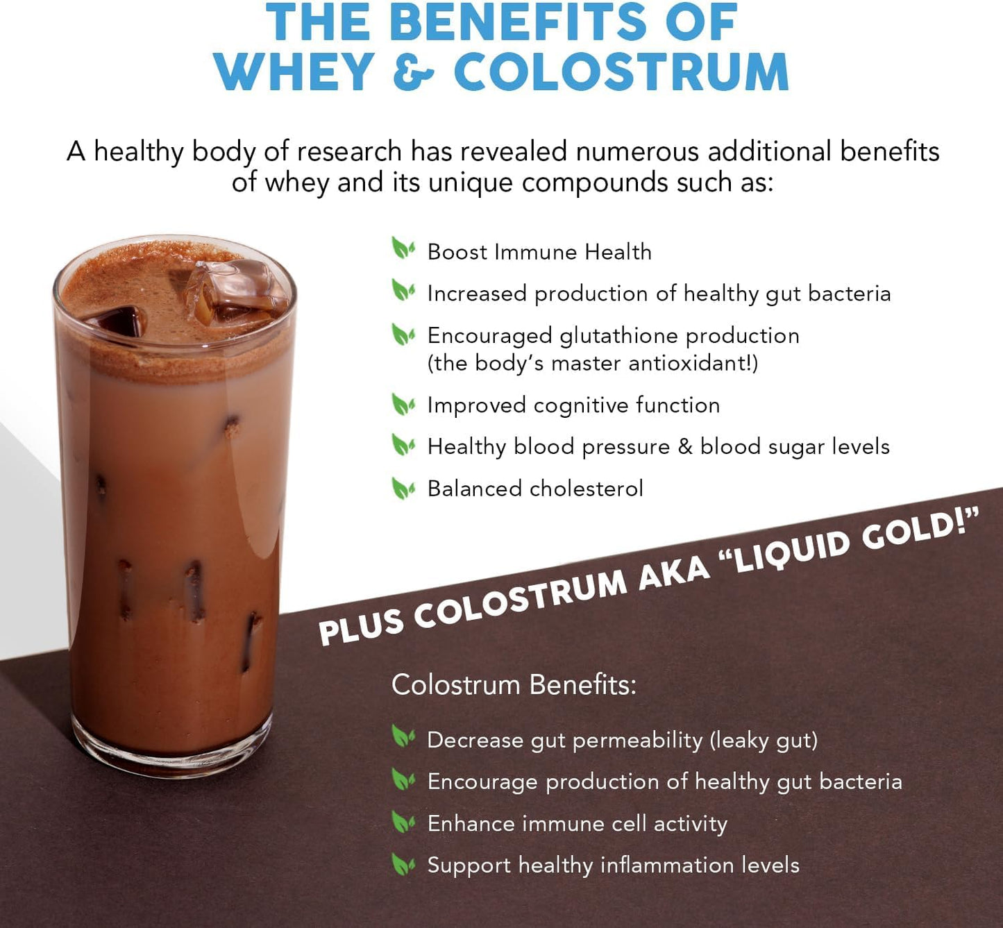 Paleovalley 100% Grass Fed Whey Protein, Chocolate