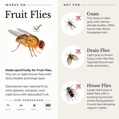 Wondercide - Fruit Fly Traps for Indoors - Fruit Fly Killer - Pet and People Safe - Made in USA & Plant Based - 5.4 oz - 2 Pack
