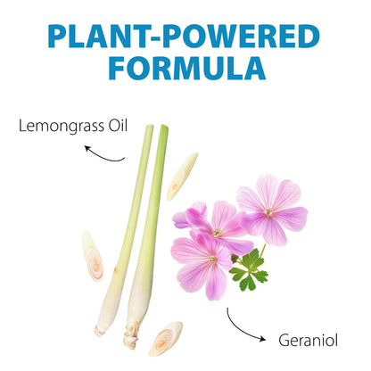 LizzAway Ant Killer Spray Indoor Outdoor Use - Plant-Based Formula with Lemongrass Oil and Geraniol - Kid & Pet Safe Ant Killer Spray - Natural Ants Repellent and Prevention for Home, Car, & Outdoors