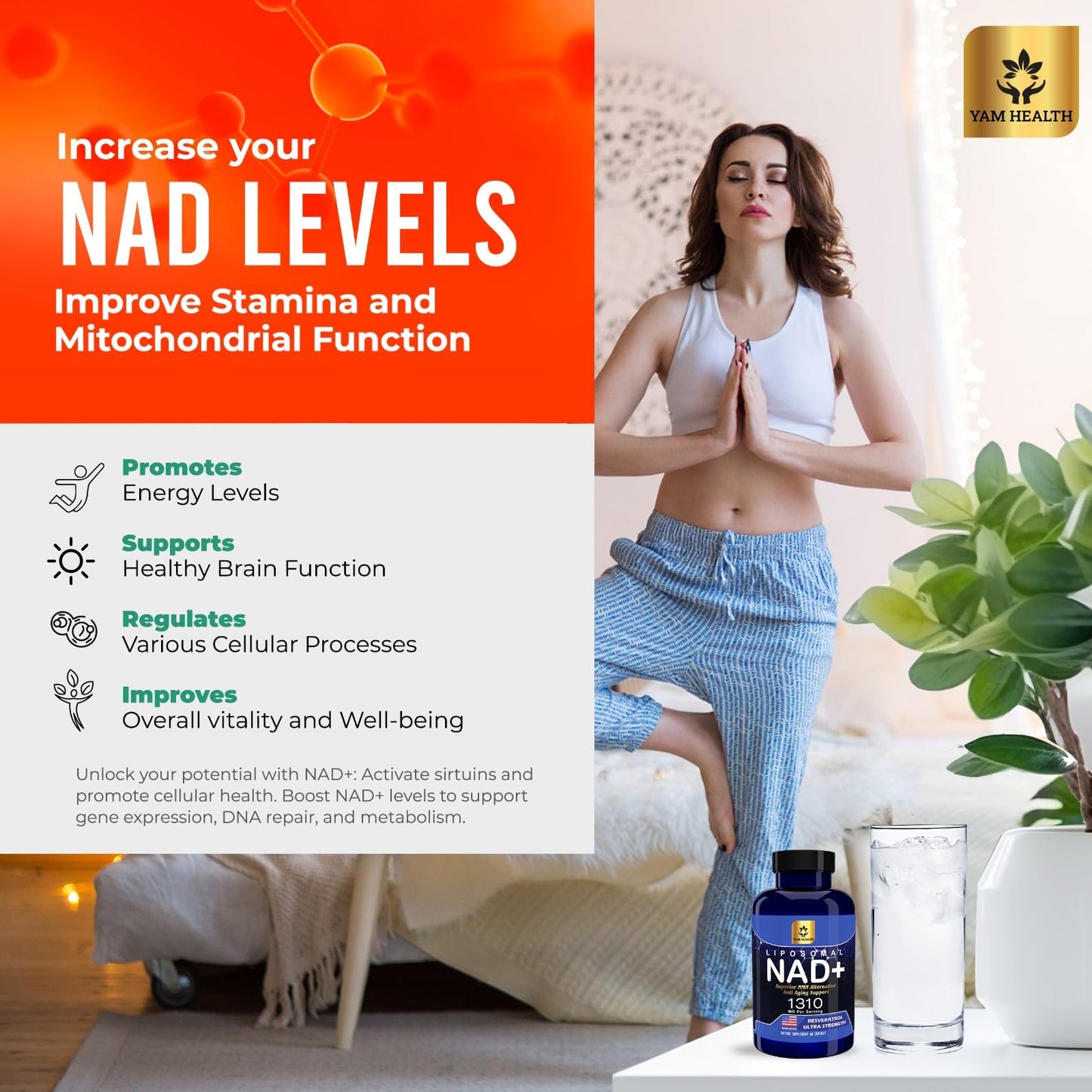 YAM Health Liposomal NAD Nicotinamide Riboside Equivalent with Trans-Resveratrol 300mg, Premium Halal NAD Supplement for Energy Metabolism, DNA Repair and Longevity, Vegan, Non-GMO (60 Count)