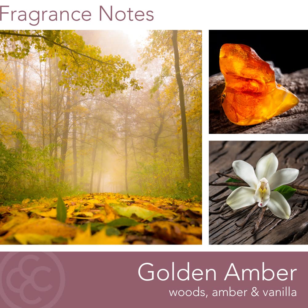 CAROLINA Golden Amber Scented Candle, 16 oz Wellness Relaxing Aromatherapy Candle, 2 Wick White Jar Soy Blend Wax, Candles for Home, 60H Burn - Made in The USA