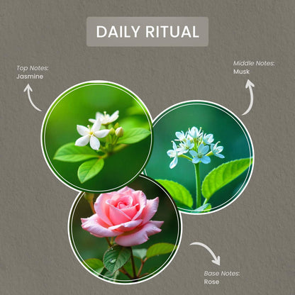 Carolina Daily Ritual Scented Wellness Wax Melts, Wax Melt Warmer Cubes, Long Lasting Scented Wax Warmer Cubes, 4 Pack, 6 Cubes Each - Made in The USA