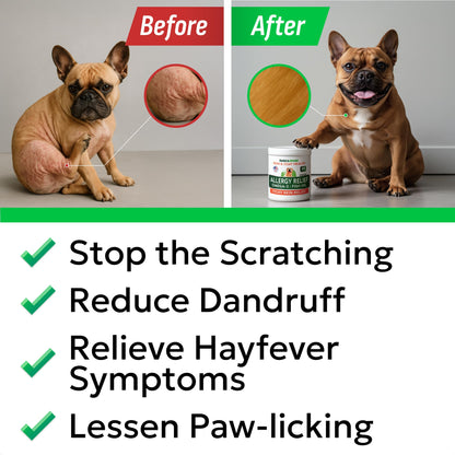 BARK&SPARK Dog Allergy Relief Chews - Anti-Itch Skin & Coat Supplement - Omega 3 Fish Oil - Itchy Skin Relief Treatment Pills - Itching&Paw Licking - Dry Skin&Hot Spots - (60 Immune Treats - Chicken)