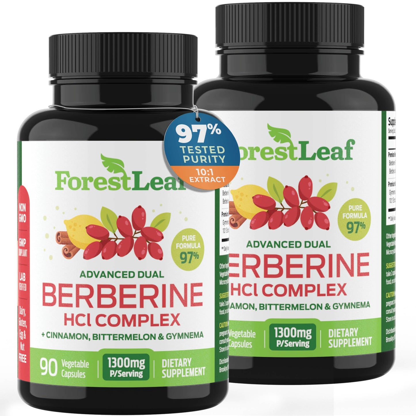 ForestLeaf Advanced Dual Berberine HCl Berberine Supplement 1300mg - 97% Tested Ultra High Potency Berberine with Ceylon Cinnamon, Bitter Melon & Gymnema (90 Count (Pack of 2))