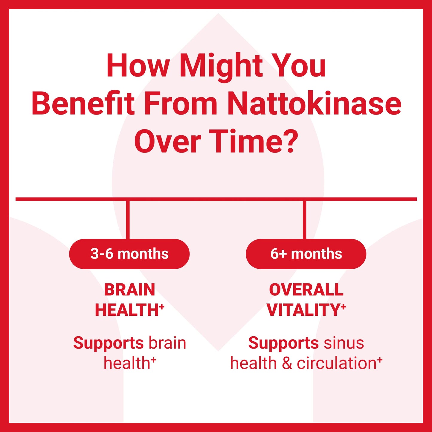 Luma Nutrition Nattokinase Supplement - Japanese Natto 4000 FU Per Serving, Premium Heart Health Support - Vegan & Gluten Free - 60 Capsules - Made in USA