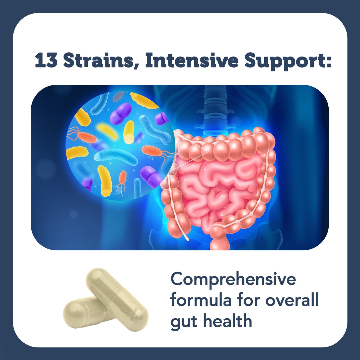 Vitamin Bounty Pro-100 Probiotic 100 Billion CFU - 13 Strains for Digestive Health & Immune Support - High Potency Probiotics for Women & Men - Delayed Release Capsules for Gut Health - 60 Count