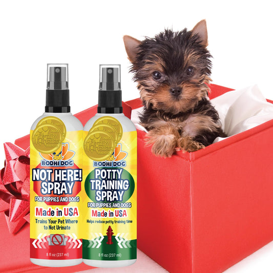 Bodhi Dog Not Here! Spray & Potty Training Spray - Puppy Training for Potty Pads - Indoor & Outdoor Potty Training for Dogs & Puppies - Safe and Effective Formula - Made in USA, New Puppy Bundle