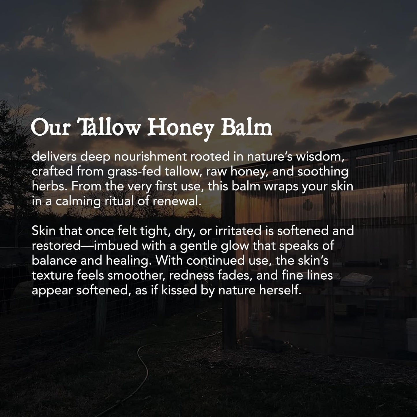 Chaumiere Herb Infused Organic Grass Fed Beef Tallow Honey Balm -Tallow Face Moisturizer - Whipped Tallow and Honey Balm - Raw Honey, Facial Lotion for Sensitive Skin - 2.5 oz