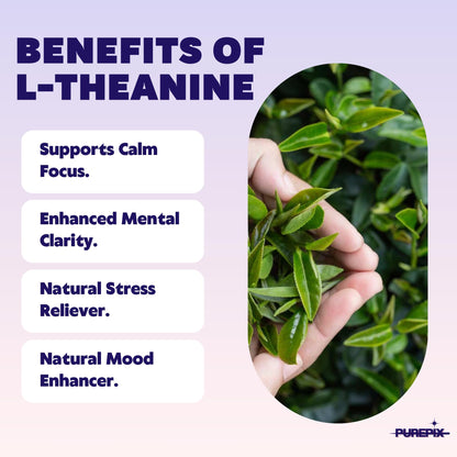 PurePix EnergyPix - Extra Thick Caffeine Flavored Toothpicks with L-Theanine, B12 & B6 for Focus & Energy - Sugar-Free Alternative to Energy Mints & Gum - 20 Count, (4 Flavors Variety Pack)