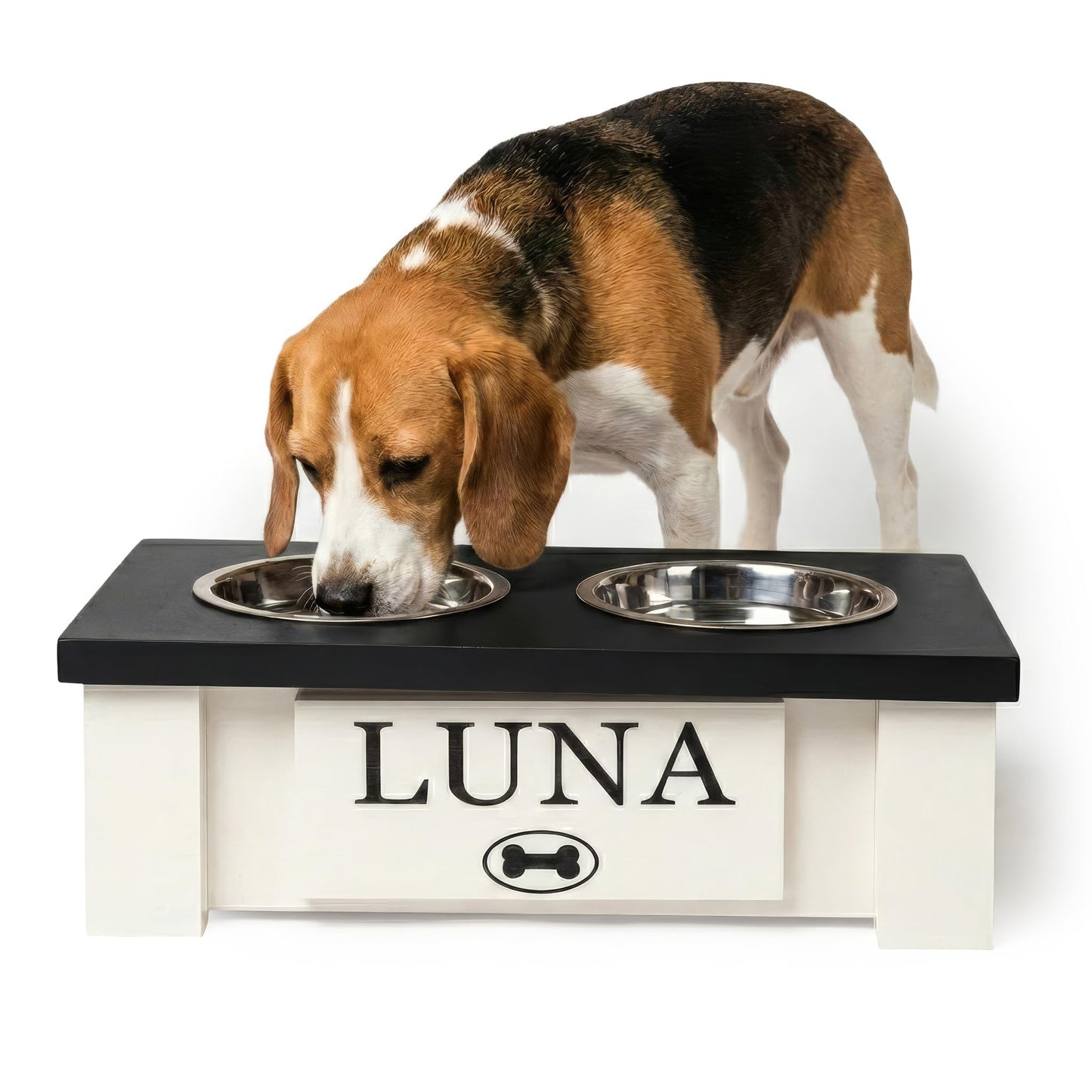 GTW Elevated Dog Bowl Stand for Very Small Dogs - Customized Feeding Station with Storage & Stainless Steel Food Bowls (X-Small, Black)