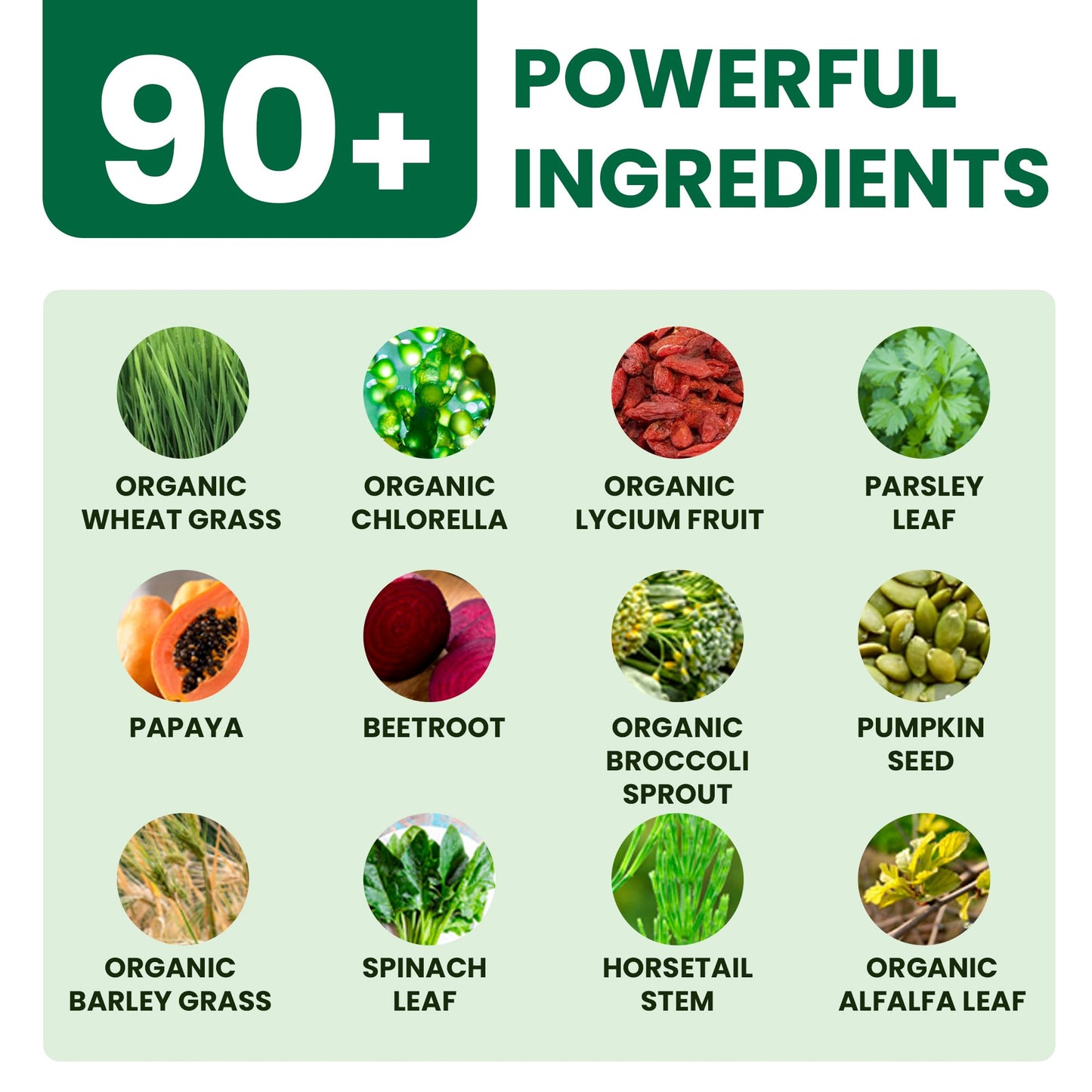 Optimal Human Superfood Greens Powder | 90+ Premium Non-GMO Ingredients | Organic Spirulina, Chlorella, Ashwagandha, Lion's Mane, 10+ Billion Probiotic & Digestive Enzymes | Energy, Longevity