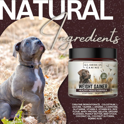 All American Canine Dog Weight Gainer Chews – High Calorie Dog Food Supplement for Rapid Weight Gain, Mass, and Recovery – Appetite Stimulant – 60 Chews