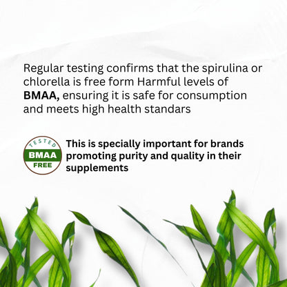Chlorella Spirulina Powder Capsules Organic 3000 mg of BMAA Free Purest Blue Green Algae - Best Natural Detox Raw Vegan Vitamins Protein Green Superfood - Made in USA