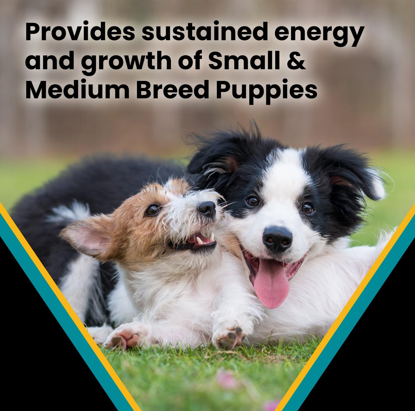 VICTOR Classic - Hi-Pro Small & Medium Breed Puppy, 15-lb